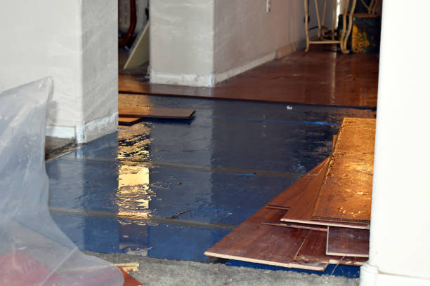 Professional Burst Pipe Cleanup technician working in Barrington, RI
